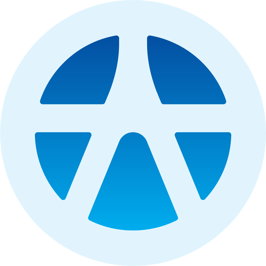 YSflex