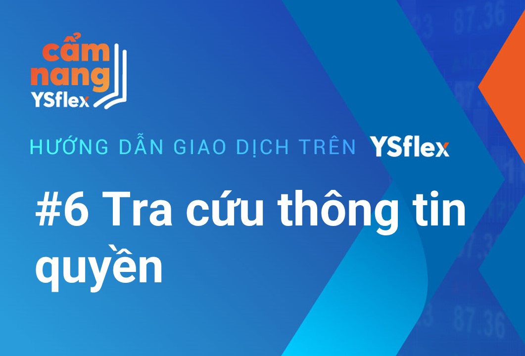 Tra cứu thông tin quyền